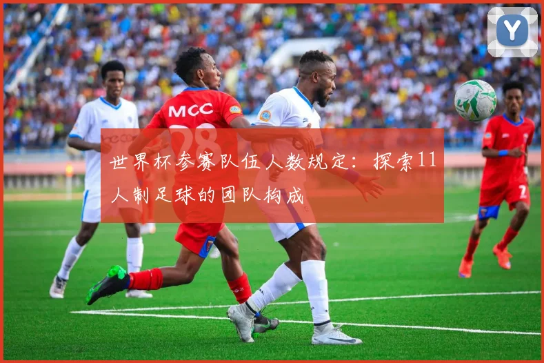 世界杯参赛队伍人数规定：探索11人制足球的团队构成